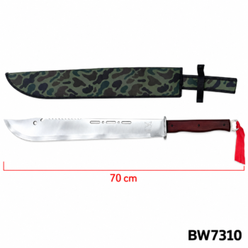 BW7310 FACA
