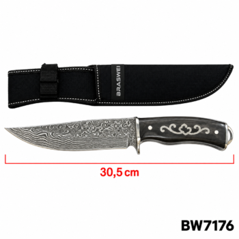 BW7176 FACA