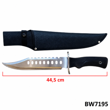 BW7195 FACA
