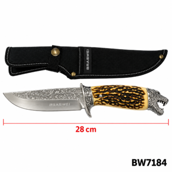 BW7184 FACA